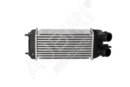 Intercooler Fiat Scudo 2007-2011 1,6D Euro4