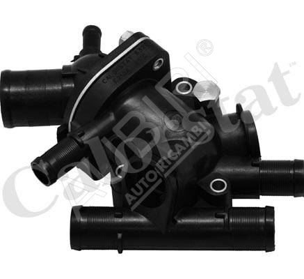 Termostat Renault Master/Trafic/Kangoo 1998-2010 1,9 dCi