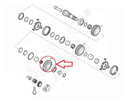 Ozubené koleso Fiat Ducato od 2021 2,2D, Doblo 2010-2022 pre spiatočku, 11/44 zubov