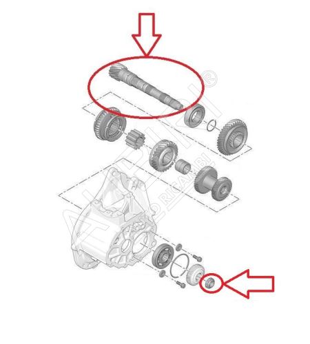 Hriadeľ prevodovky Citroën Berlingo, Partner od 2018 sekundárny, 17/71 zubov