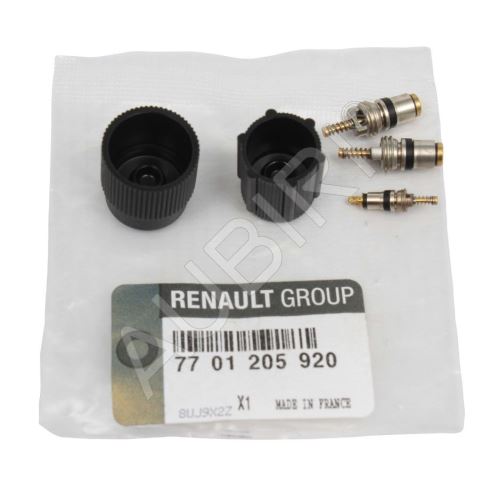 Sada ventilov klimatizácie Renault Kangoo 1997-2008, Master 1998-2010