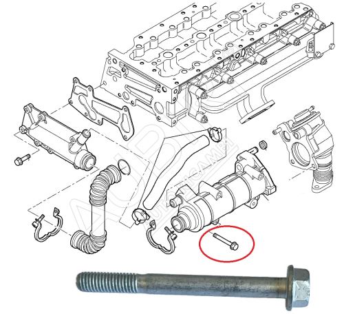 Skrutka EGR ventilu Fiat Ducato 3,0 M8x80mm