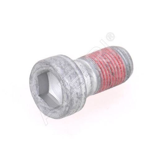 Skrutka brzdového strmeňa Fiat Ducato od 1994 zadný strmeň M16x29mm