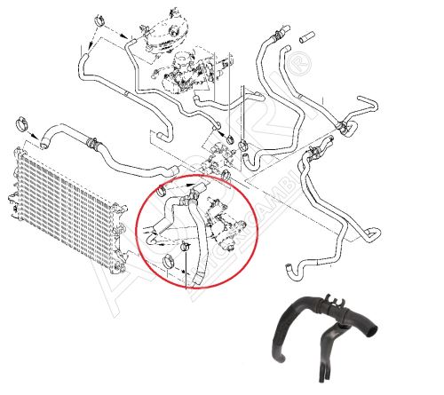 Hadica chladiča vody Renault Master 2003 - 2010 2,5 dCi