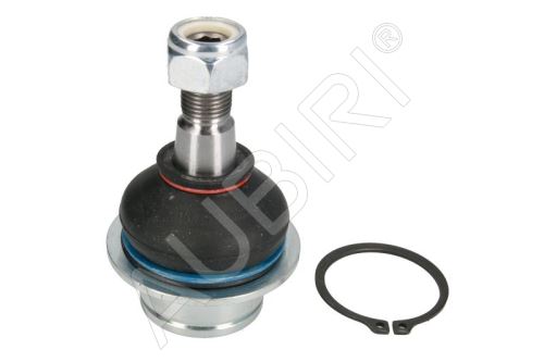 Guľový čap ramena Ford Transit 2000-2014 ľavý/pravý, spodný