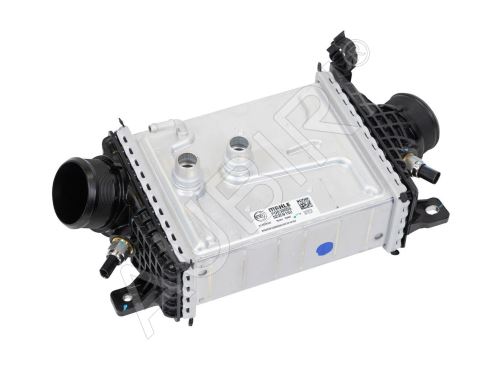 Intercooler Fiat Ducato, Jumper, Boxer, Movano 2021-2024 2,2D